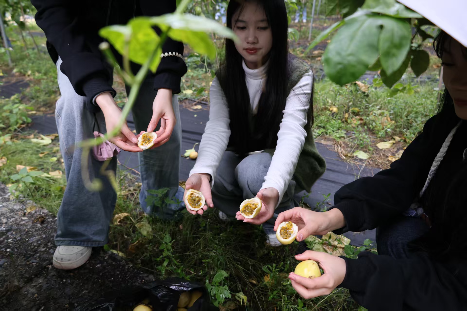 英国上市公司365