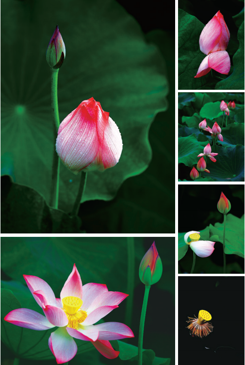 英国上市公司365