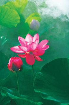 英国上市公司365