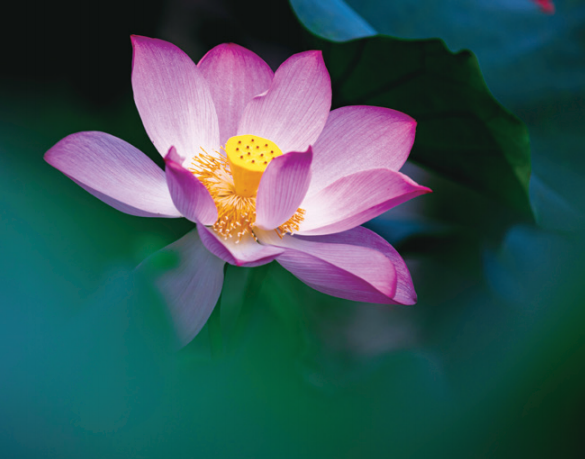 英国上市公司365